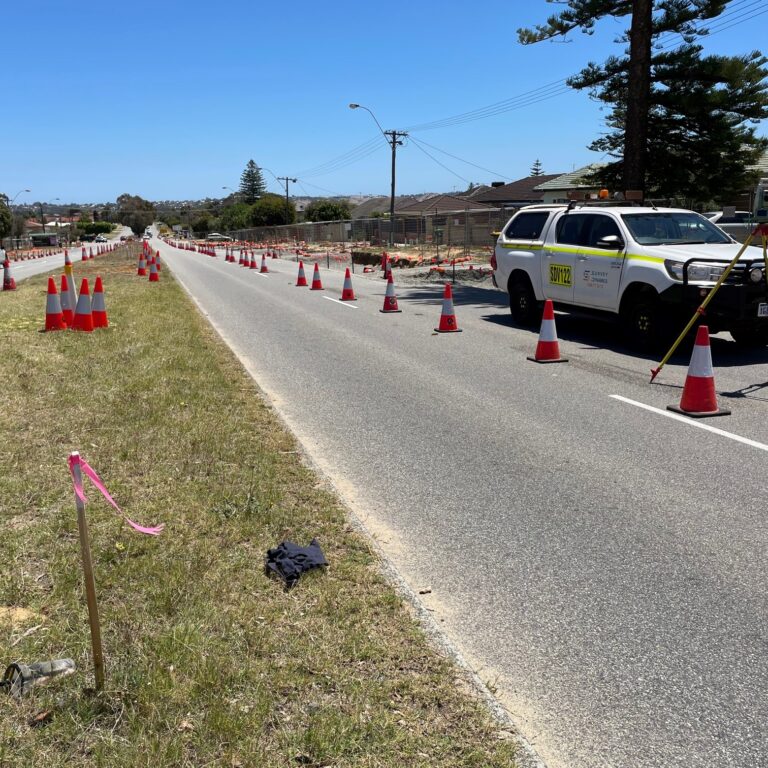 Projects Survey Dynamics